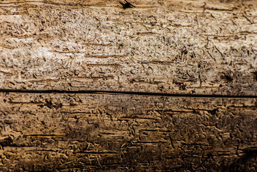 Similar image 2870723