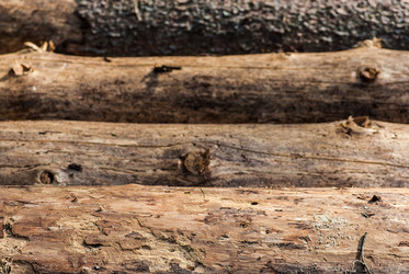 Similar image 2870724