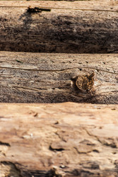 Similar image 2870725