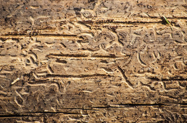 Similar image 2870726