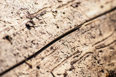 Similar image 2870727