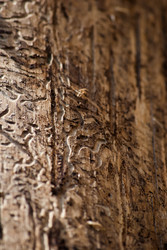 Similar image 2870728