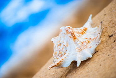 Similar image 2870729