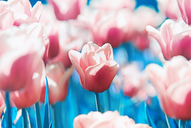 Similar image 2870731