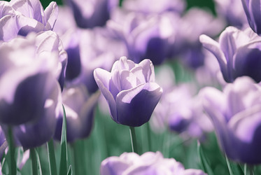 Similar image 2870739