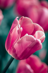 Similar image 2870744