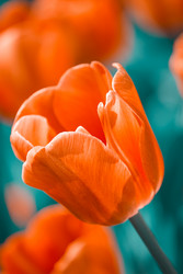 Similar image 2870745