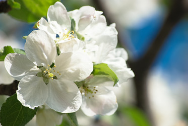 Similar image 2870747