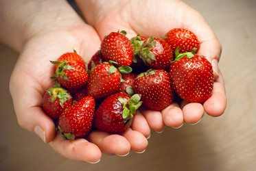 Similar image 2870750