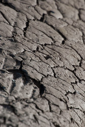 Similar image 2870751