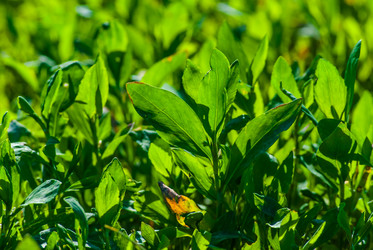 Similar image 2870753