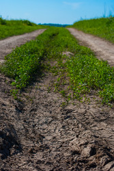 Similar image 2870754