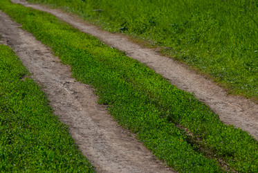 Similar image 2870755