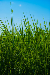 Similar image 2870757