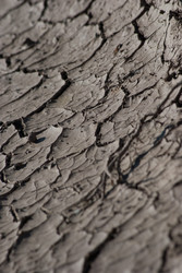 Similar image 2870759