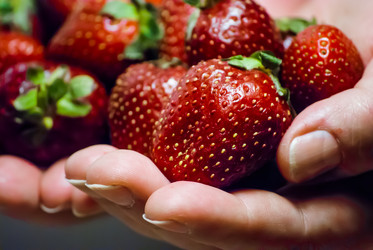 Similar image 2870761