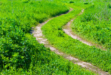 Similar image 2870763