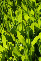 Similar image 2870765