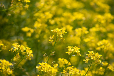 Similar image 2870770