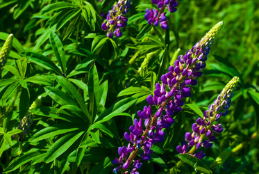 Similar image 2870773