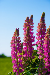 Similar image 2870774