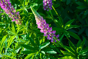 Similar image 2870775