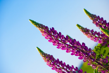 Similar image 2870776