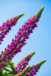 Similar image 2870777