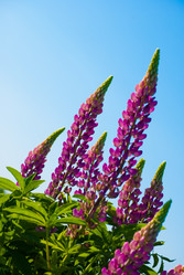 Similar image 2870778