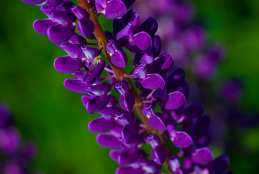 Similar image 2870779