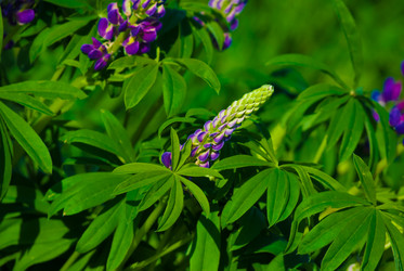 Similar image 2870780