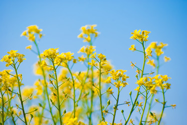 Similar image 2870781