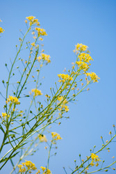 Similar image 2870782