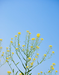 Similar image 2870783