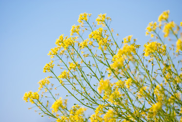 Similar image 2870784