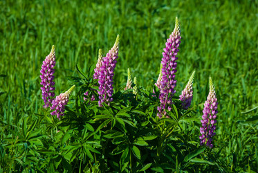 Similar image 2870785