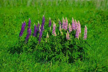 Similar image 2870787