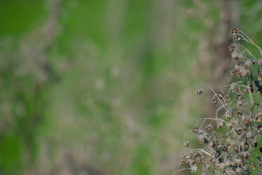 Similar image 2870788