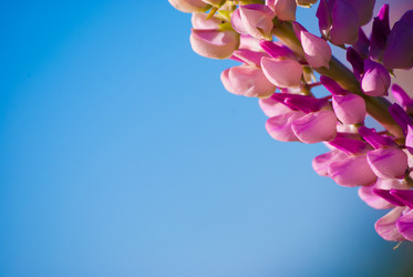 Similar image 2870789