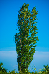 Similar image 2870790