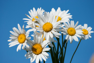 Similar image 2870792