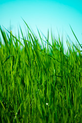 Similar image 2870802