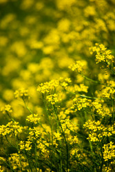 Similar image 2870804