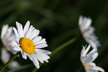 Similar image 2870808