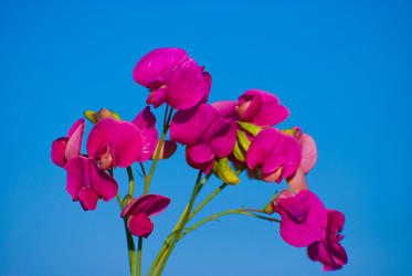 Similar image 2870814