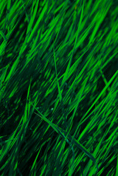 Similar image 2870816