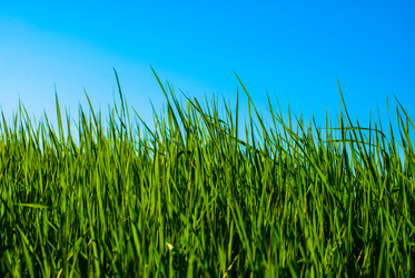 Similar image 2870818