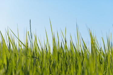 Similar image 2870868