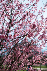 Similar image 2870883