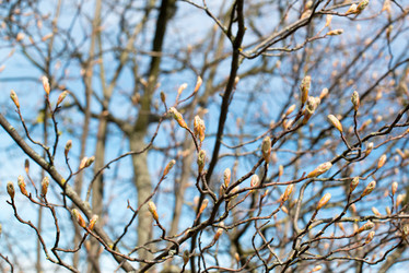 Similar image 2870884